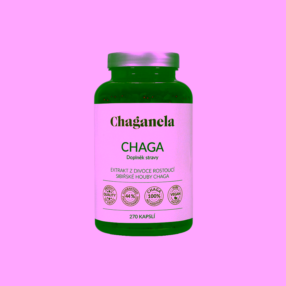 Chaganela extrakt ze sibiřské čagy v kapslích 150 kapslí ZLEVNĚNO