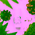 Biorythme přírodní bezsodý deodorant V lese