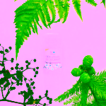 Biorythme přírodní deodorant Neparfémovaný