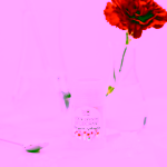 Biorythme přírodní deodorant Růžová zahrada