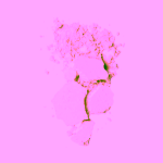 Nui Cosmetics Přírodní kompaktní pudr Parakore