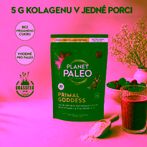 planet-paleo-primal-goddes (3)