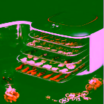 Yden D5 Infračervená sušička potravin