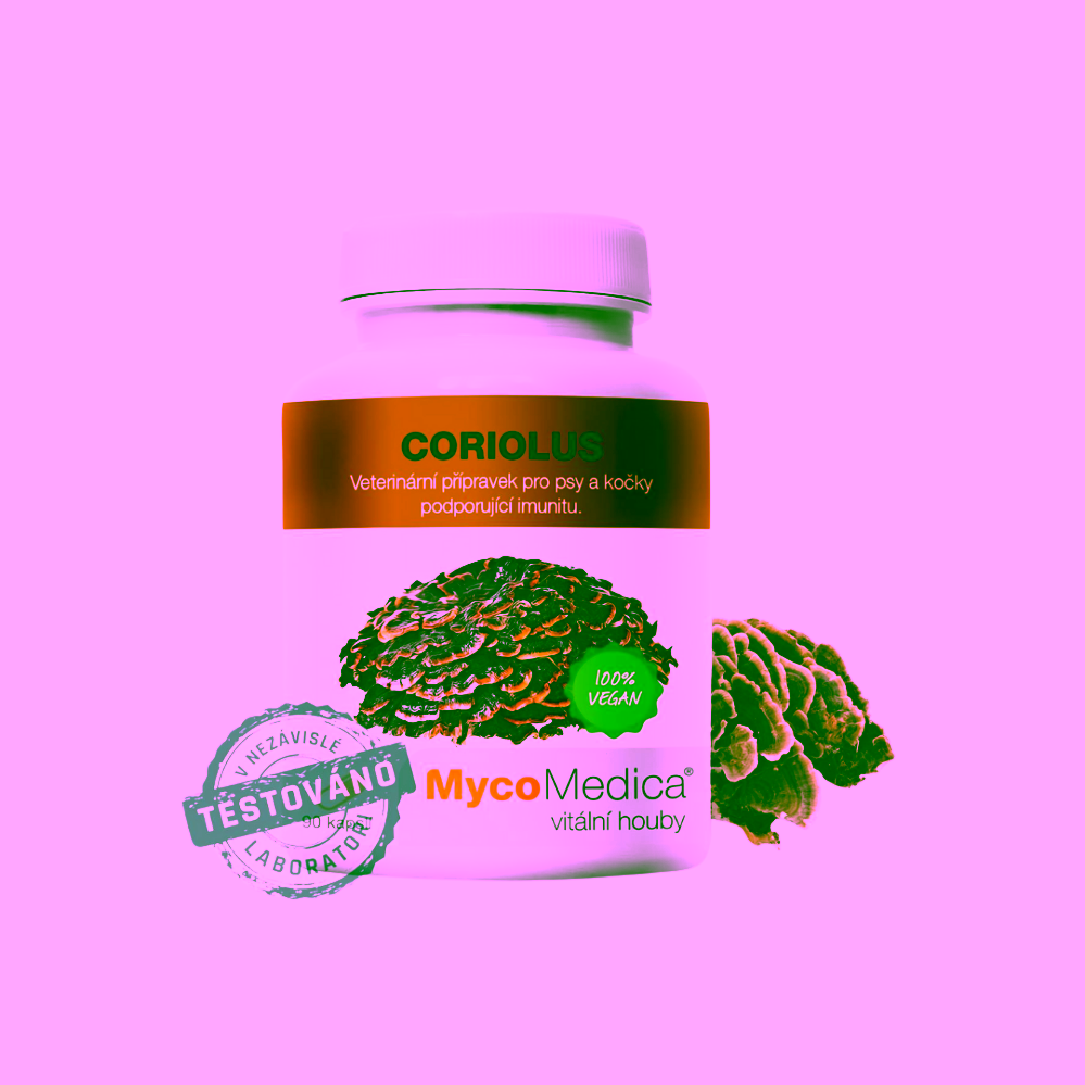 MycoMedica Coriolus v optimální koncentraci