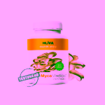 MycoMedica Hlíva v optimální koncentraci