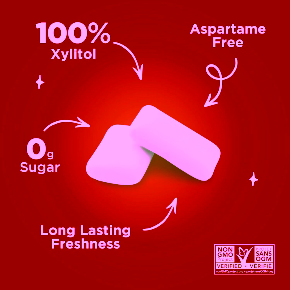 Pür žvýkačky s xylitolem Cinnamon