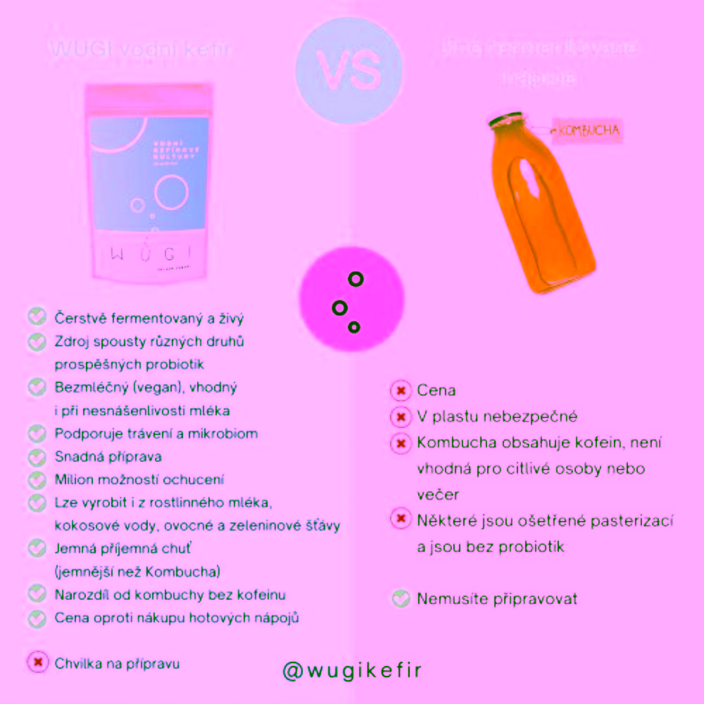 Wugi Vodní kefírové kultury 15 g