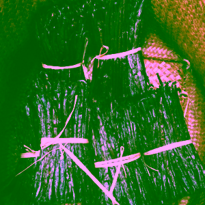 persaf-bio-bourbon-vanilkove-lusky-z-madagaskaru-1