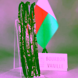 PerSaf Bio Bourbon vanilkové lusky z Madagaskaru