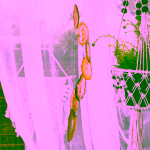 Yoga Day Zvonkohra s acháty menší