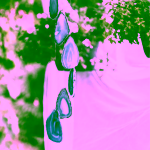 Yoga Day Zvonkohra s acháty menší