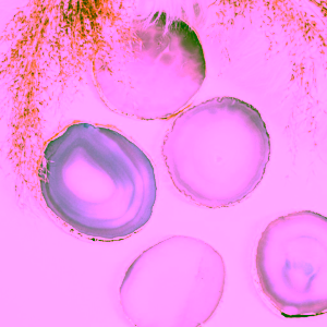 yoga-day-achatovy-podtacek-sedivy-gold-1