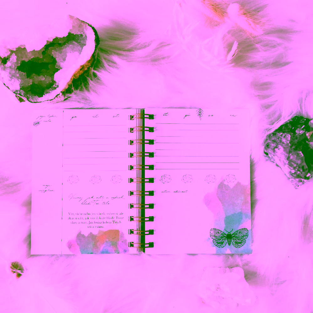 Yoga Day Joga diář