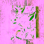 Yoga Day Pozitivní Deník Můj krásný život