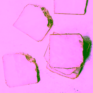 yoga-day-ruzeninovy-podtacek-gold-1