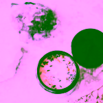 Yoga Day Svíčka pro klidný spánek