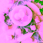 Yoga Day Růženínová koule