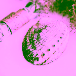 Yoga Day Duhová lastura Abalone