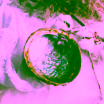 Yoga Day Duhová lastura Abalone