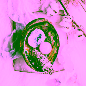 yoga-day-duhova-lastura-abalone-velka-1