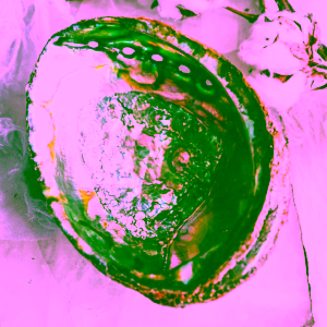 Yoga Day Duhová lastura Abalone