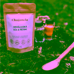 Chaganela himalájská sůl s Reishi