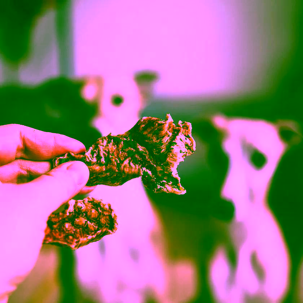 Pet Farm Family Krůta Moriak sušený stejk