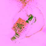 Yoga Day Šalvěj bílá s eukalyptem