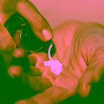 Eco by Sonya Pleťový hydratační krém Super Fruit Hydrator