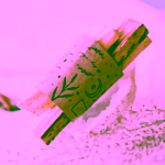 Yoga Day Dřívka Palo Santo