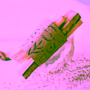 Yoga Day Dřívka Palo Santo