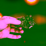 Pet Farm Family Bio Kravina sušený stejk