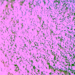 Redmond Bentonitový jíl z Utahu