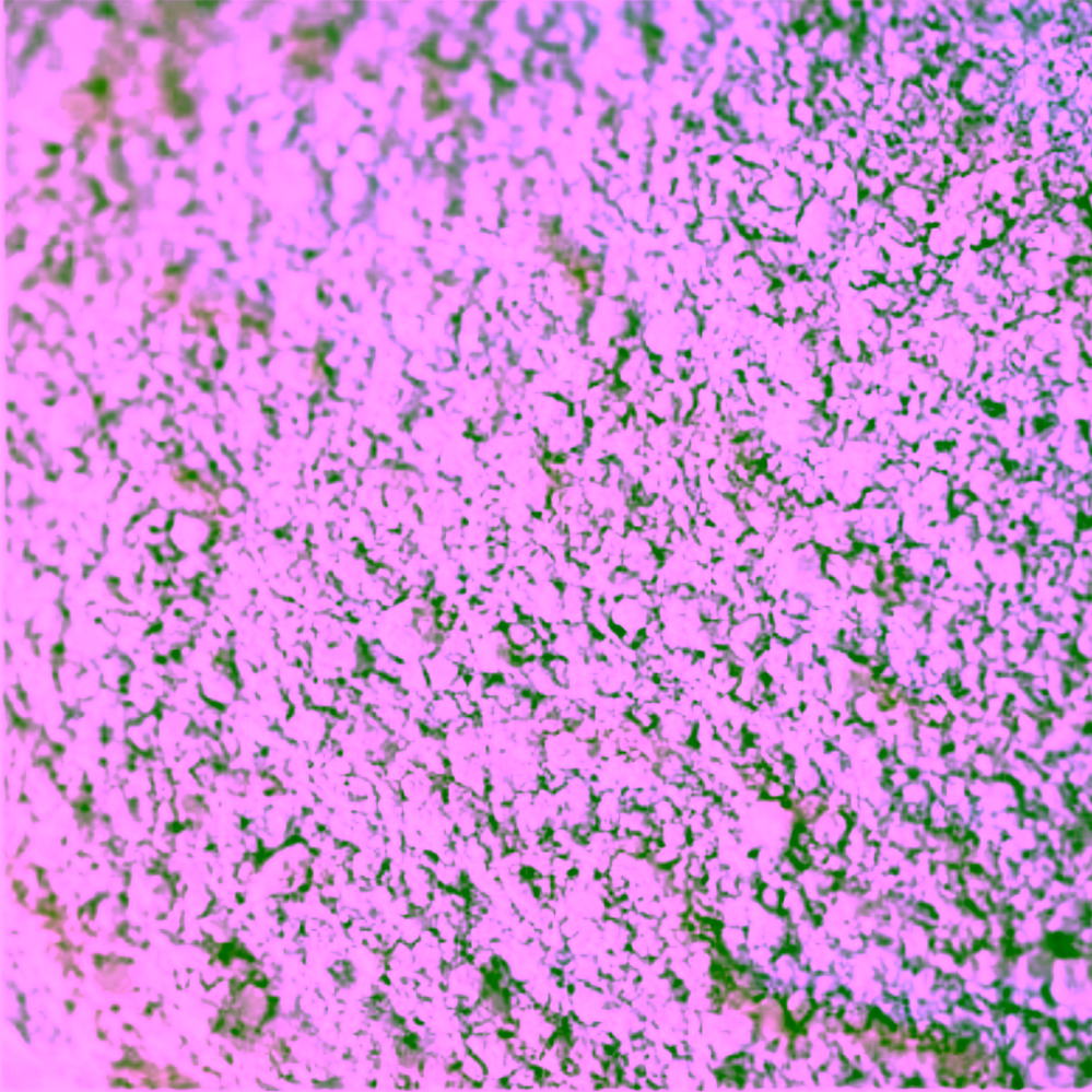 Redmond Bentonitový jíl z Utahu