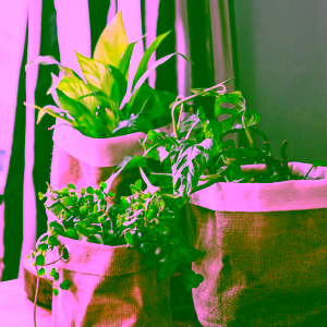 Yoga Day Jutový květináč