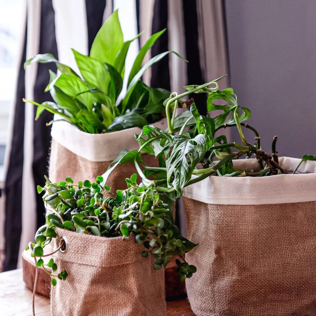 Yoga Day Jutový květináč