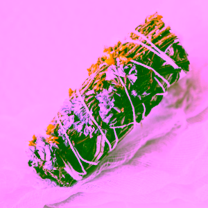 yoga-day-salvej-bila-kvety-stesti-1