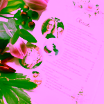 Biorythme knížečka Pod pokličkou kosmetiky