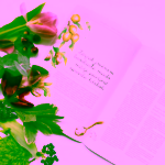 Biorythme knížečka Pod pokličkou kosmetiky