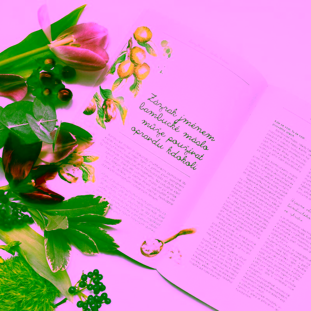 Biorythme knížečka Pod pokličkou kosmetiky