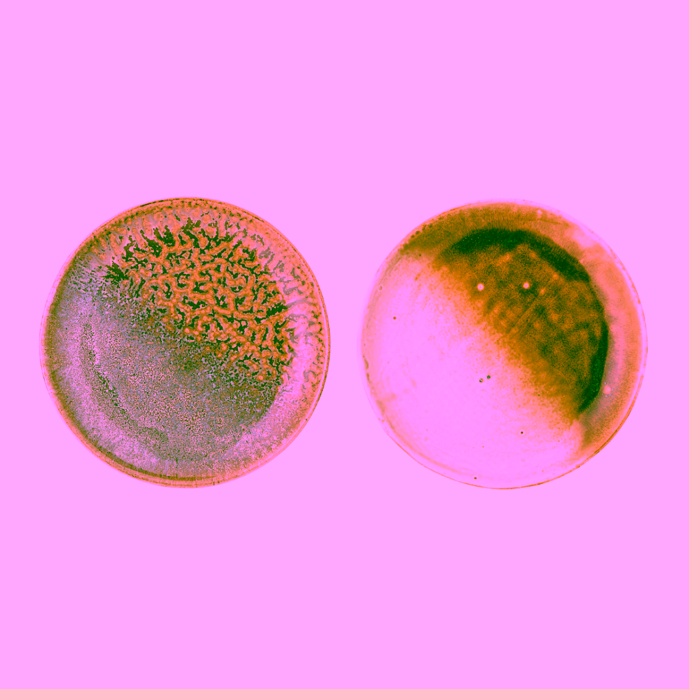 Bloomingville Willow sada 2 kameninových talířů