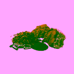 Chaganela Extrakt z houby Cordyceps 60 kapslí
