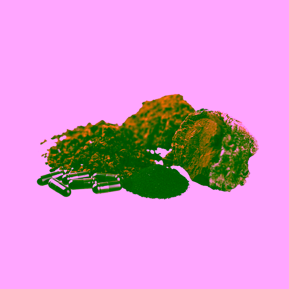 Chaganela Extrakt z houby Cordyceps 60 kapslí