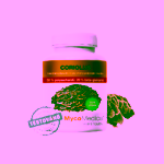 MycoMedica Coriolus 50 %