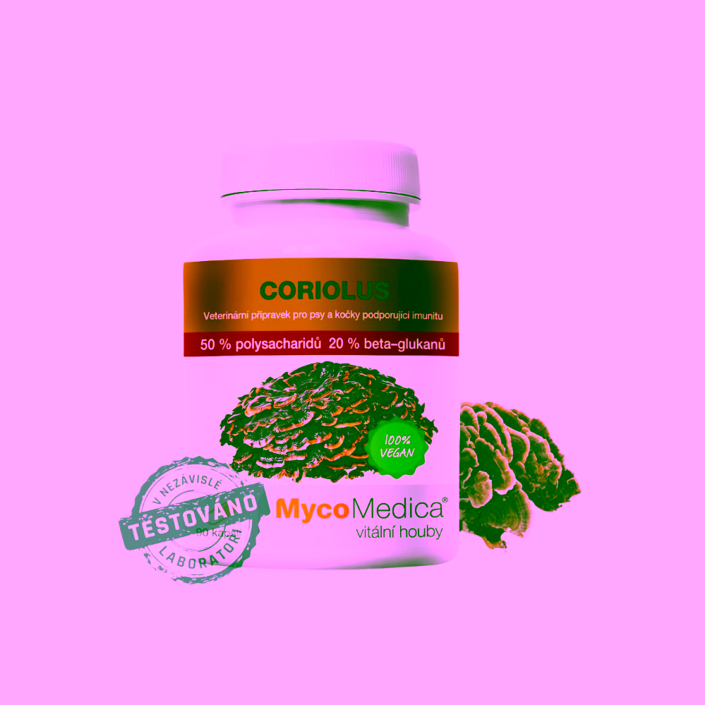 MycoMedica Coriolus 50 %