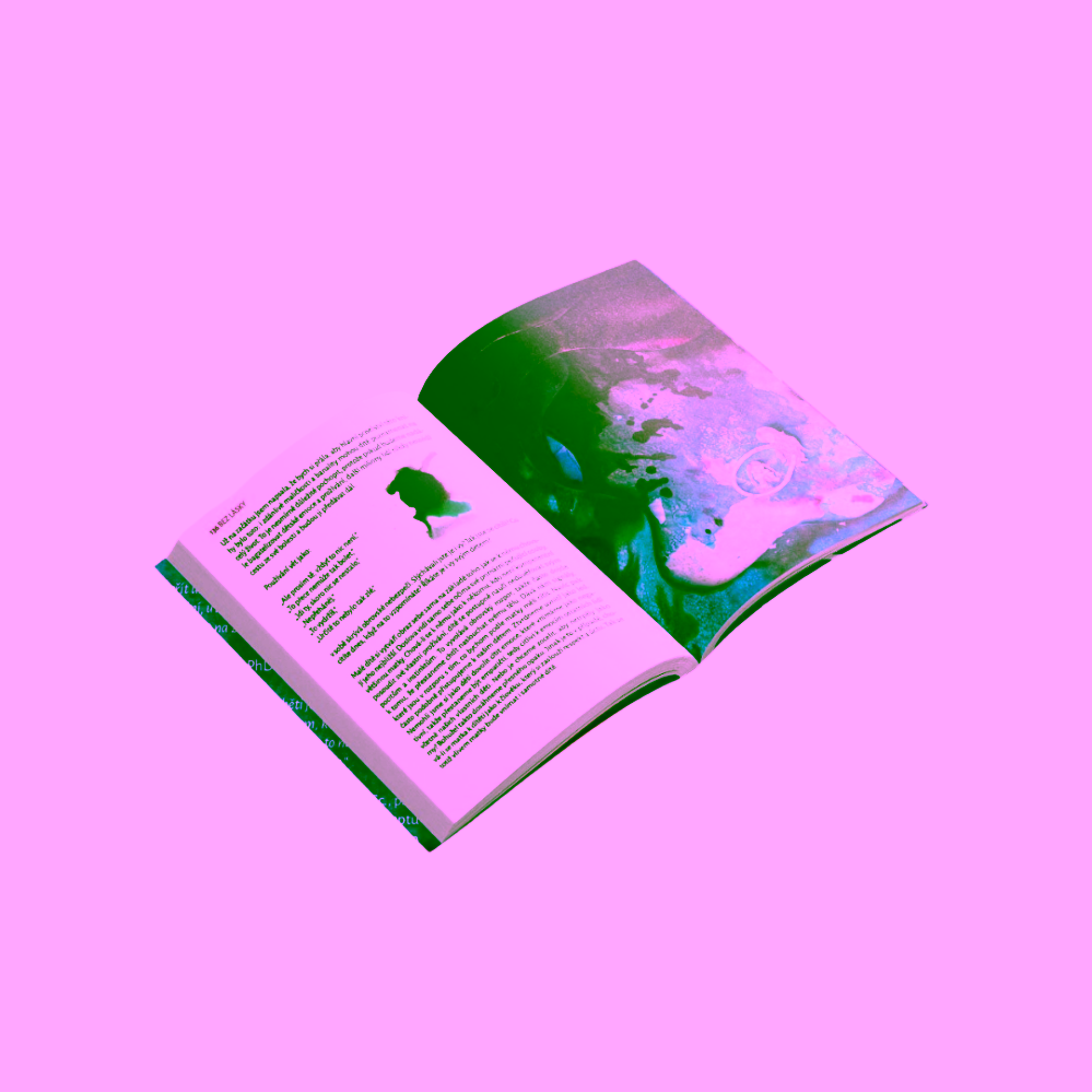 Děti jsou taky lidi Zdeňka Šíp Staňková