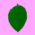 Bloomingville Isla černé prostírání z mořské trávy