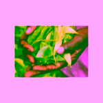 Hampstead Tea London BIO černý čaj Chai s orientálním kořením 20 ks