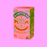 Hampstead Tea London BIO citrónový čaj se zázvorem 20 ks