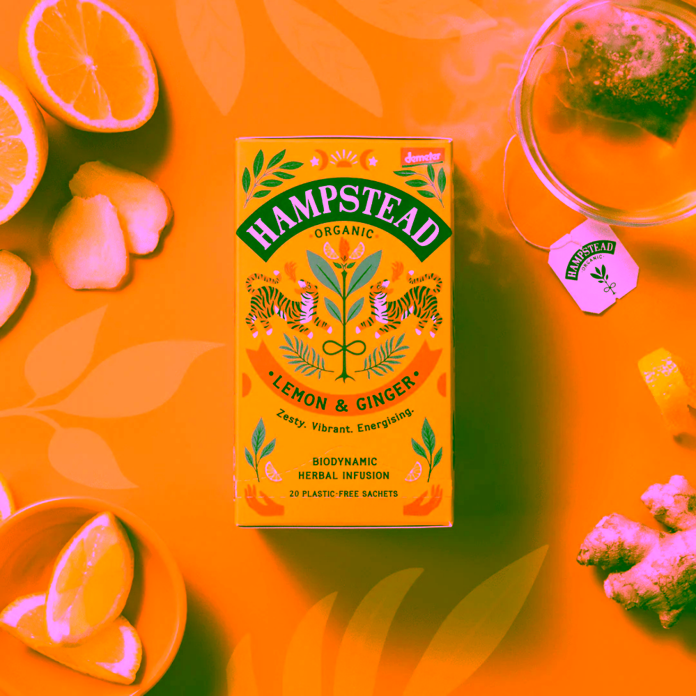 Hampstead Tea London BIO citrónový čaj se zázvorem 20 ks